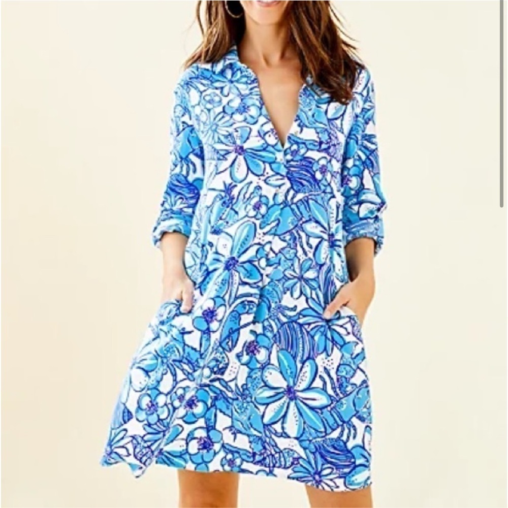 Lilly Pulitzer Lillith Tunic Dress